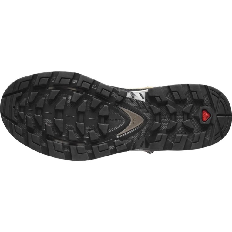Botas Montaña Salomon Quest Element GTX Mujer Beige Verde Oliva Negros | MX QOAP198